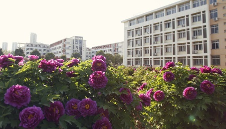 河南推拿职业学院