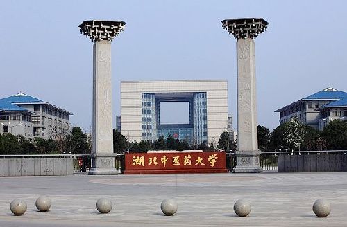 湖北中医药大学成人高考报名流程
